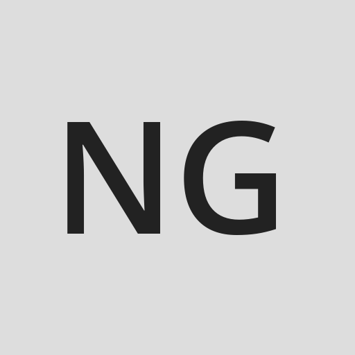 Logo da empresa NSG Group